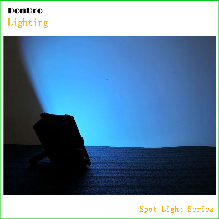 Flood Light